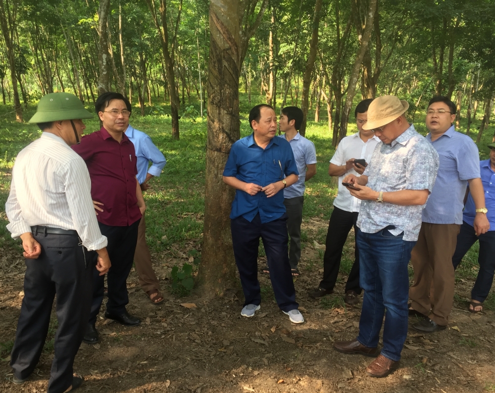 Tập đoàn Vinamilk khảo sát địa điểm xây dựng trang trại bò sữa tại Hương Khê