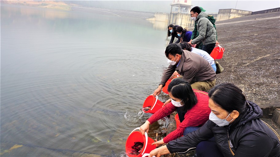 Thả hơn 1,5 tấn cá giống xuống đập Đá Hàn xã Hòa Hải.