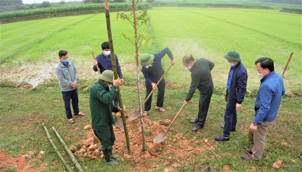 Hương Thủy triển khai xây dựng nông thôn mới và Tết trồng cây” đời đời nhớ ơn Bác Hồ”  năm 2022.