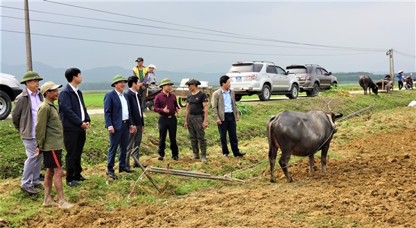 Lãnh đạo huyện Hương Khê kiểm tra sản xuất đầu Xuân tại một số địa phương