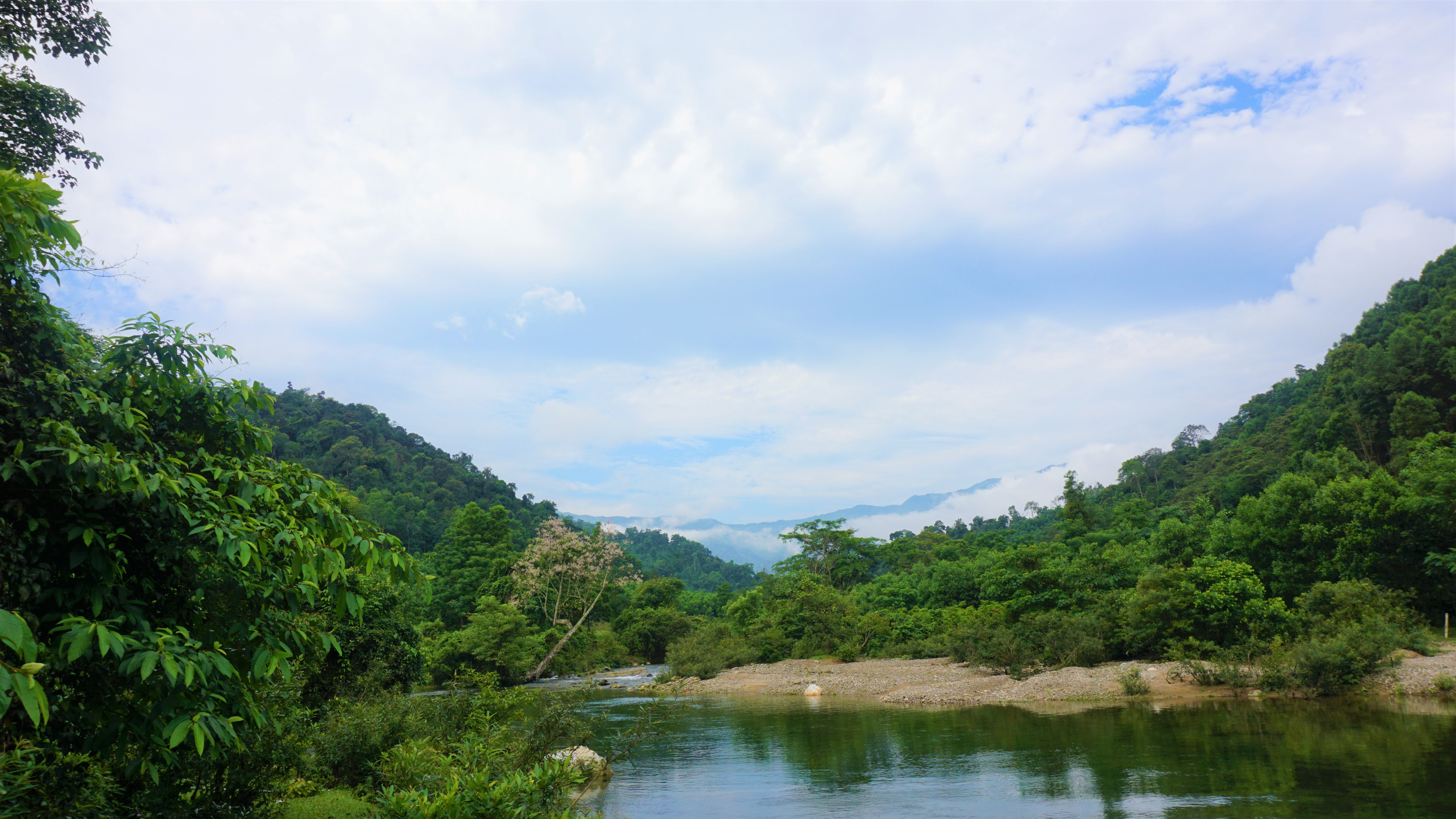 Bài tuyên truyền nhân dân bảo vệ rừng và phòng cháy, chữa cháy rừng