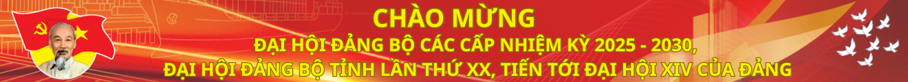 ĐẠI HỘI ĐẢNG BỘ CÁC CẤP NHIỆM KỲ 2025 - 2030; ĐẠI HỘI ĐẠI BIỂU ĐẢNG BỘ TỈNH LẦN THỨ XX VÀ ĐẠI HỘI ĐẠI BIỂU TOÀN QUỐC LẦN THỨ XIV CỦA ĐẢNG (2).png