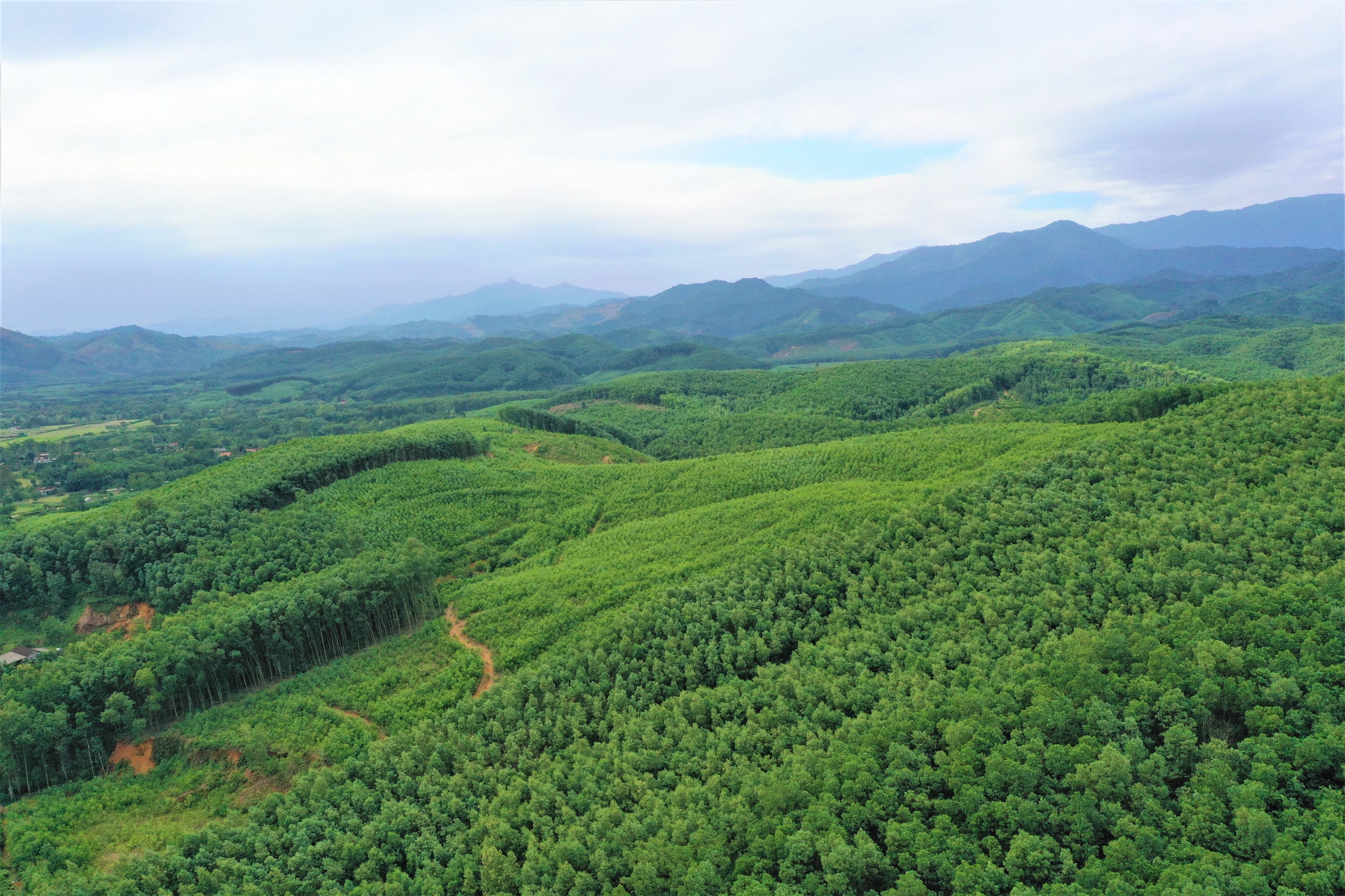 Tăng cường tuyên truyền nhân dân bảo vệ rừng và phòng cháy, chữa cháy rừng