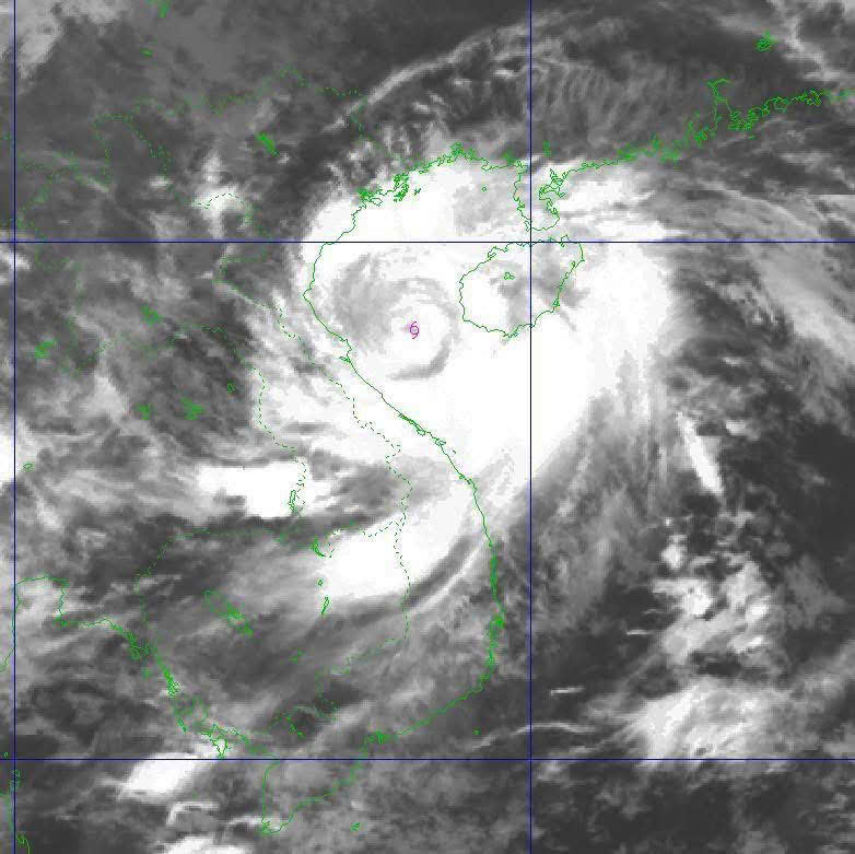 📢 CHUẨN BỊ ỨNG PHÓ BÃO 🌪️