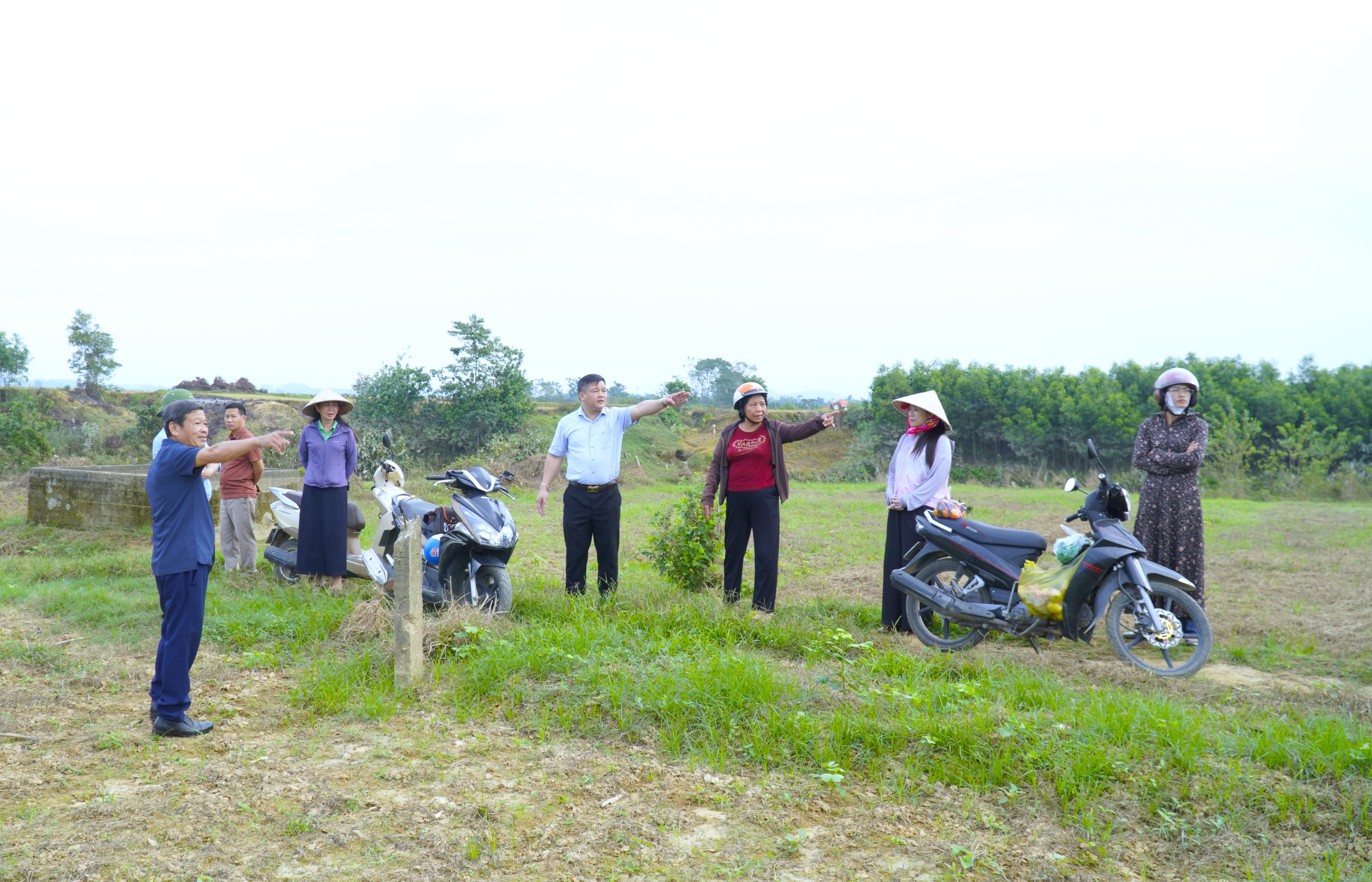 Xã Hương Khê tổ chức lại mô hình sản xuất rau Đồng Thuận tại thôn Tân Phố