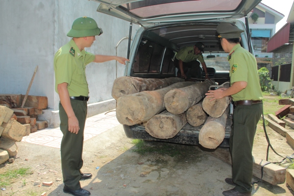 Hương Khê:Tạm giữ một xe ô tô vận chuyển 7 khúc gỗ tròn không rõ nguồn gốc