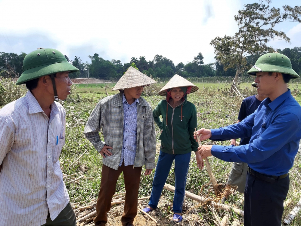 Phó chủ tịch UBND huyện kiểm tra công tác khôi phục sinh trưởng  phát triển các vườn Bưởi Phúc Trạch.