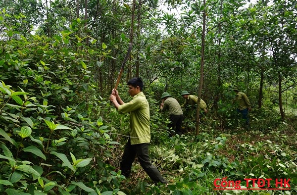 Ban Quản lý  Rừng phòng hộ Hương Khê chủ động công tác Bảo vệ rừng, Phòng cháy chữa cháy rừng trong mùa khô.