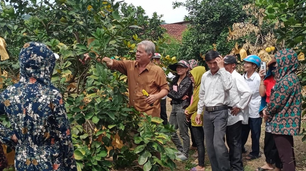 Hội Nông dân xã Hương Trạch phối hợp tổ chức thành công 10 lớp tập huấn về kỹ thuật trồng và chăm sóc cây Bưởi Phúc Trạch