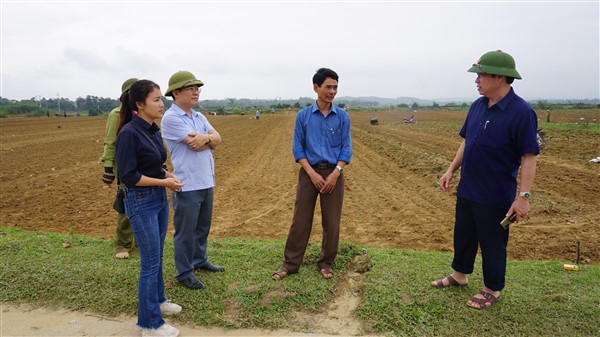 Chủ tịch UBND huyện Ngô Xuân Ninh chỉ đạo hoàn thành gieo trỉa 1.961 ha ngô Đông trước ngày 25/11.