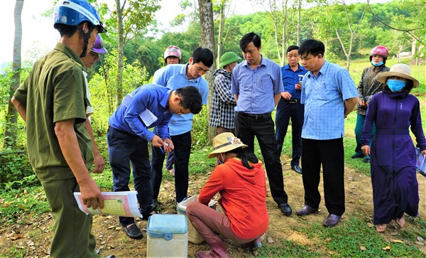 Yêu cầu tiêm phòng dịch bệnh VDNC ở trâu, bò xong trước ngày 10/4/2021