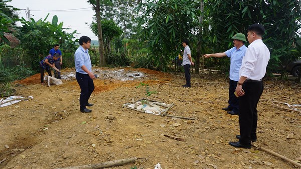 Tăng cường công tác phòng, chống dịch tả lợn Châu Phi