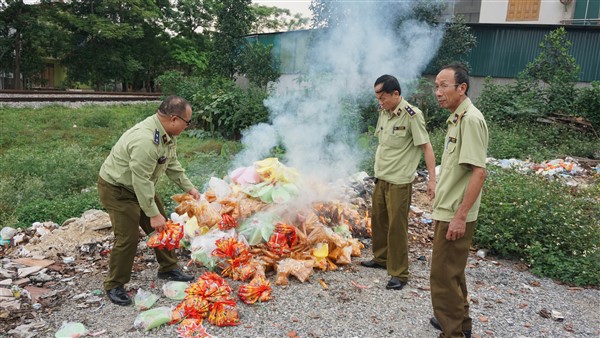 Thu giữ, tiêu hủy nhiều đồ chơi, bánh kẹo không rõ nguồn gốc ở Hương Khê