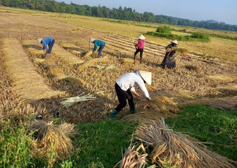 Các cấp Hội Nông dân Hương Khê sôi nổi hoạt động hướng về  Ngày hội bầu cử