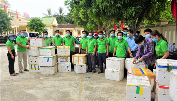 Hội Nông dân huyện: Hỗ trợ tiêu thụ gần 1,3 tấn mận hậu Sơn la.