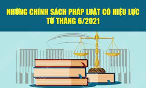 CHÍNH SÁCH PHÁP LUẬT CÓ HIỆU LỰC THÁNG 6 NĂM 2021