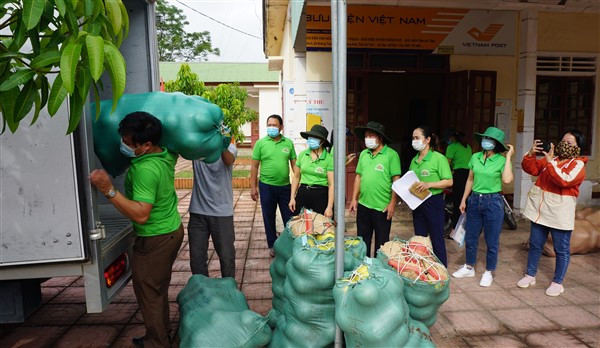 Hội ND: kết nối tiêu thụ bưởi Phúc Trạch cho bà con nông dân Hương Khê