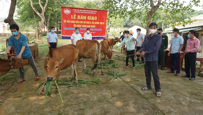 Hỗ trợ 5 con bê nái sinh sản cho 5 gia đình có hoàn cảnh đặc biệt khó khăn ở Hương Khê