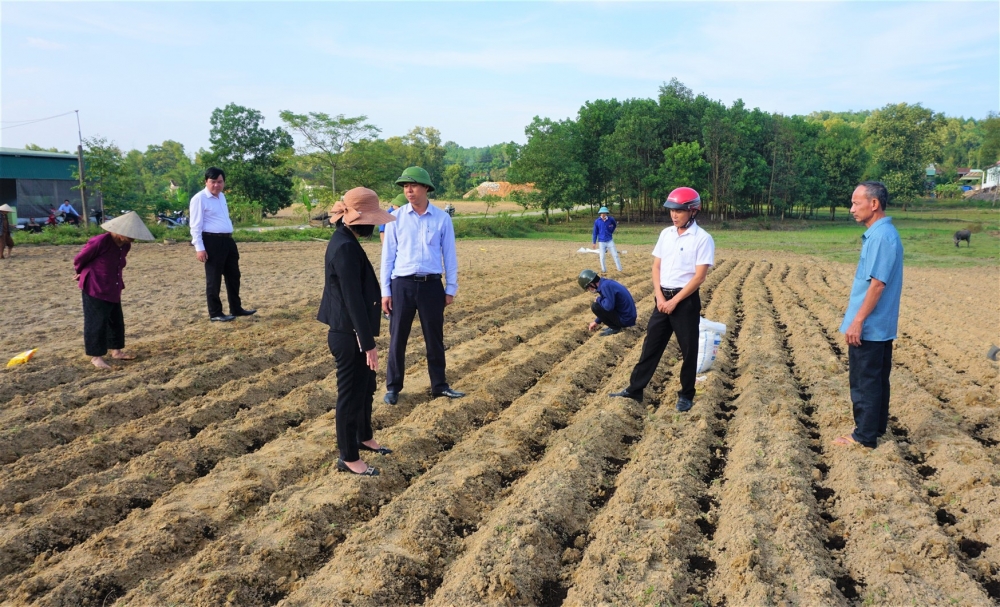 Hương Khê đẩy mạnh sản xuất vụ đông