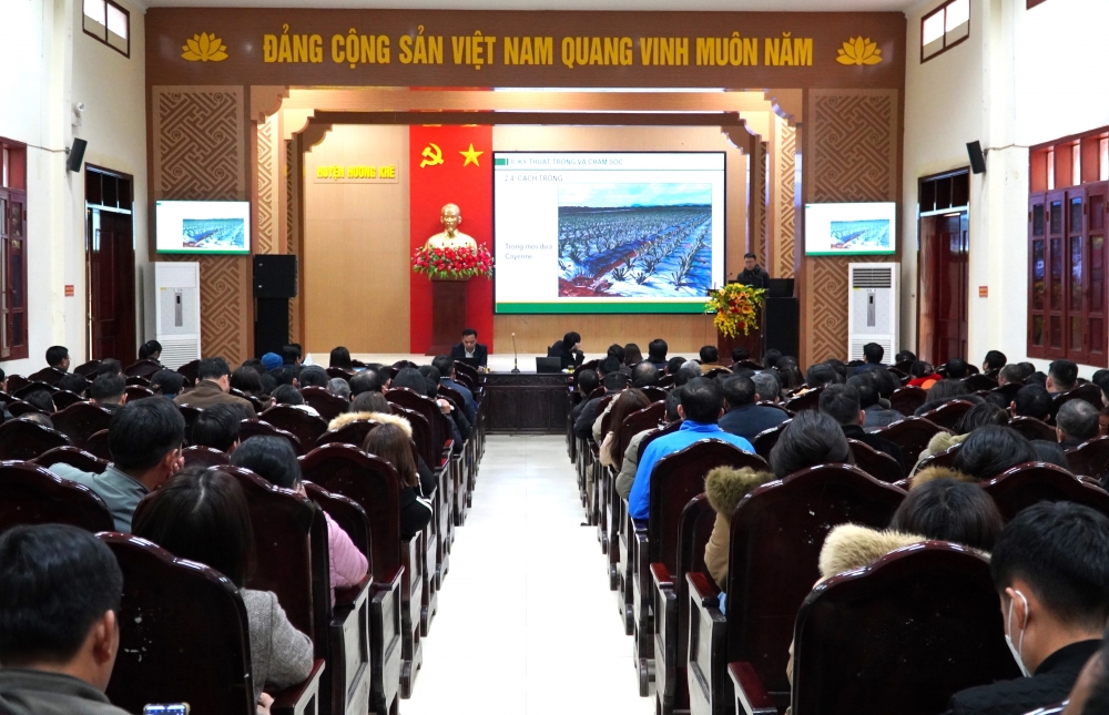 Làm việc để thống nhất phương án liên kết sản xuất với Công ty cổ phần thực phẩm xuất khẩu Đồng Giao 