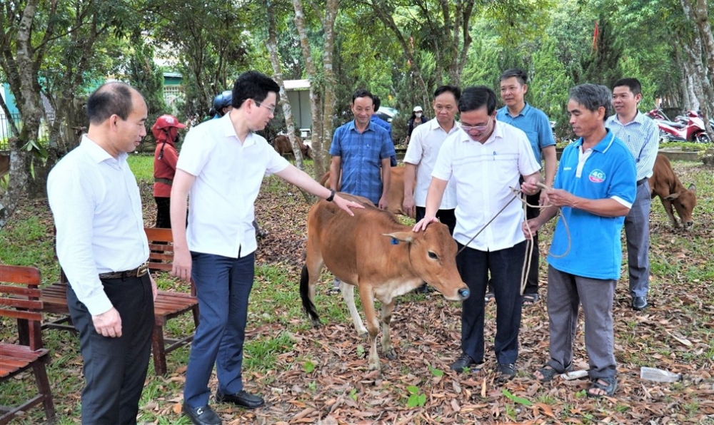 Trao tặng mô hình sinh kế cho 15 hộ khó khăn ở Hương Khê