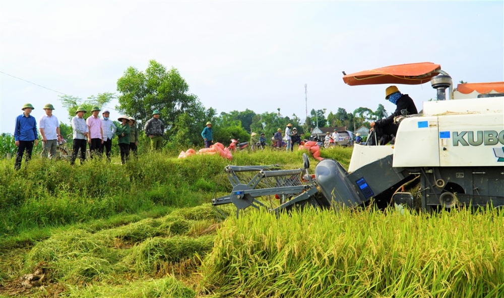 Lãnh đạo huyện kiểm tra tiến độ thu hoạch cây trồng vụ Xuân và triển khai sản xuất vụ Hè Thu