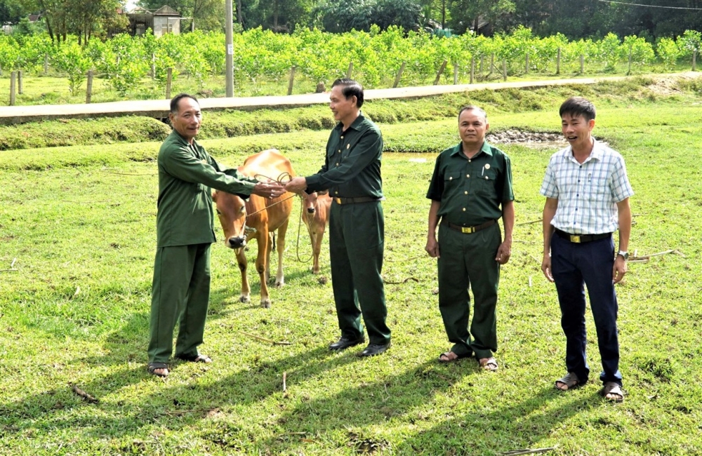 Trao 3 mô hình bò sinh kế cho hội viên CCB xã Hòa Hải, Hương Lâm