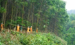 Điện lực Hương Khê nâng cao độ tin cậy cấp điện, giảm sự cố và tổn thất điện năng