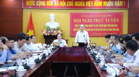 Hà Tĩnh phấn đấu gieo cấy hơn 59.000 ha lúa xuân 2025